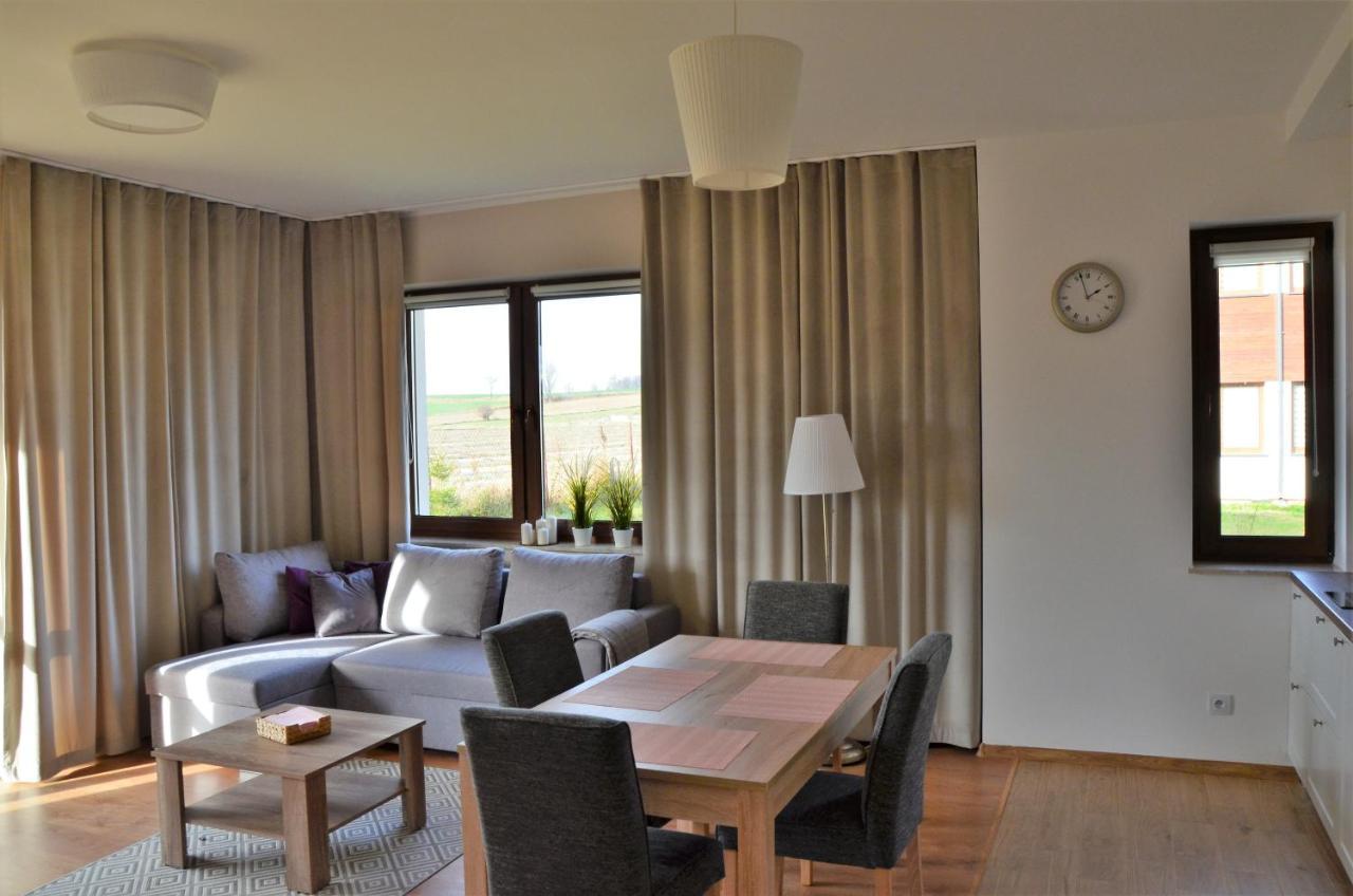 Nałęczów Komfort Apartament מראה חיצוני תמונה